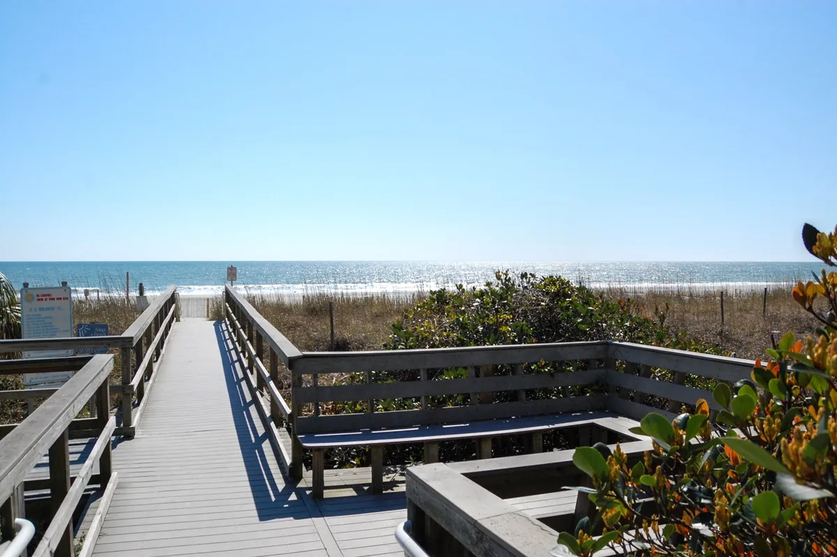 A serene wooden walkway meanders through dune grass and leads directly to the beach, with panoramic views of the ocean and lush beachfront greenery. This tranquil scene evokes the easy, restorative pace of life enjoyed during Myrtle Beach's mild winters.